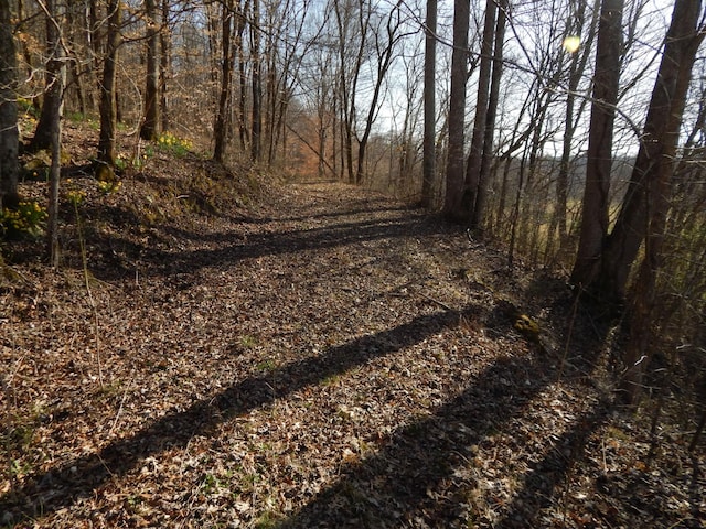 view of street with a wooded view