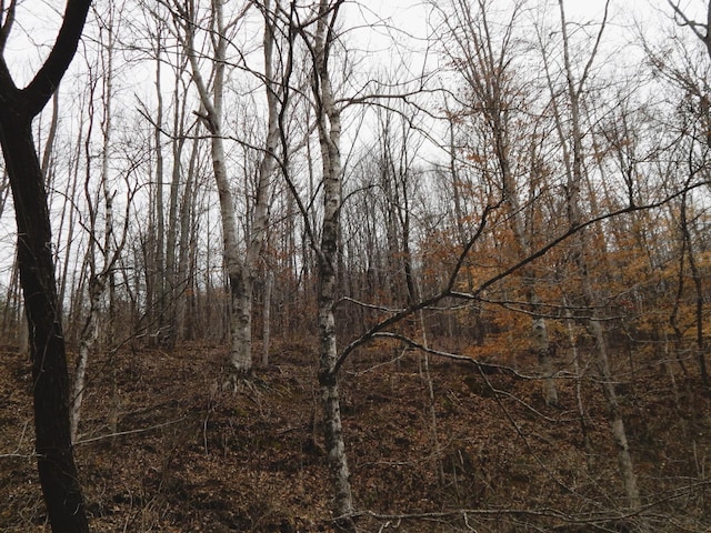 view of landscape featuring a forest view