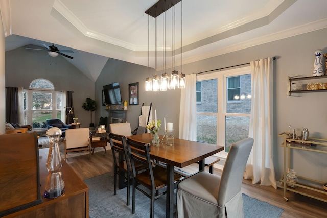 dining space with dark wood-style floors, a fireplace, and a raised ceiling