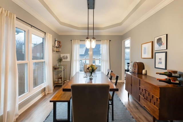 dining space with a raised ceiling, plenty of natural light, wood finished floors, and baseboards