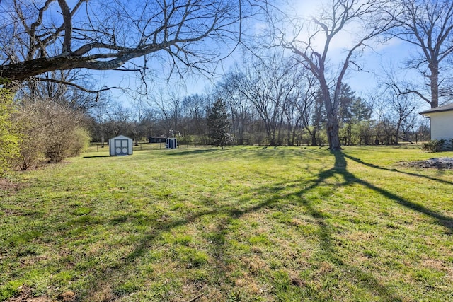 view of yard with an outdoor structure and a storage unit