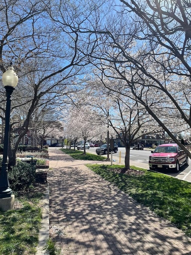 view of road featuring curbs, street lights, and sidewalks