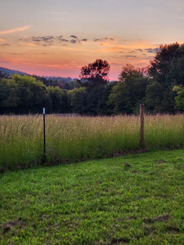 yard at dusk featuring a view of trees