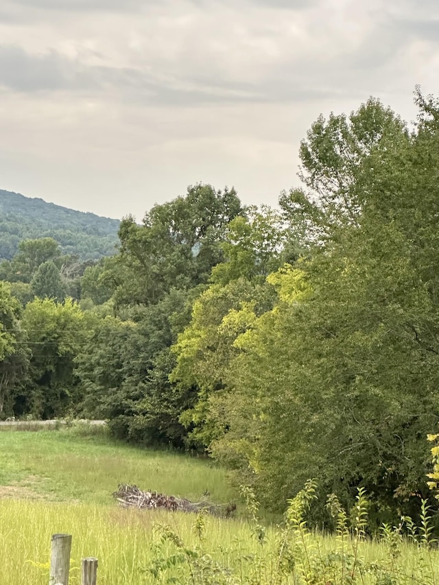 view of local wilderness with a view of trees