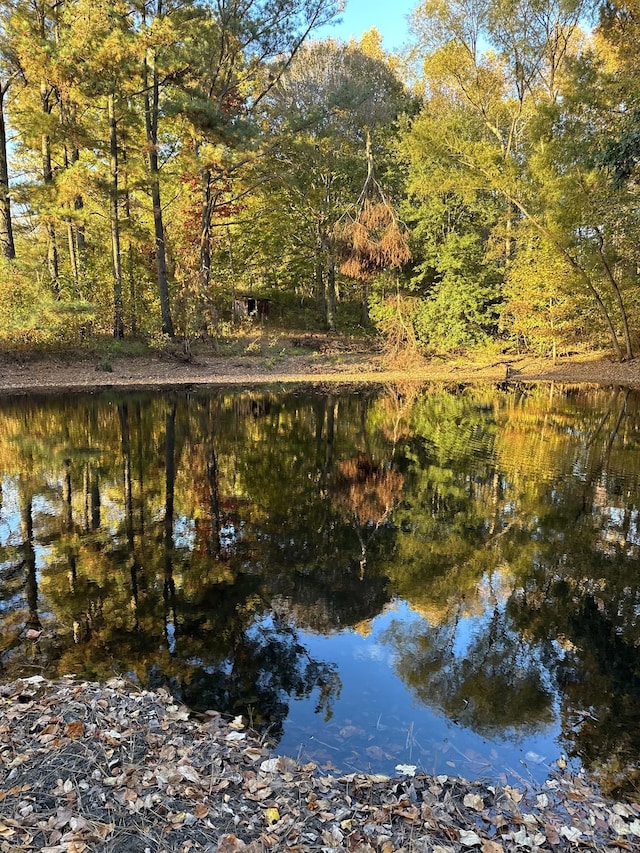 water view featuring a forest view