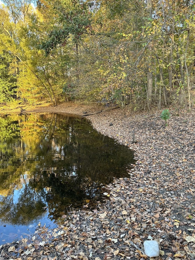 view of local wilderness with a wooded view and a water view