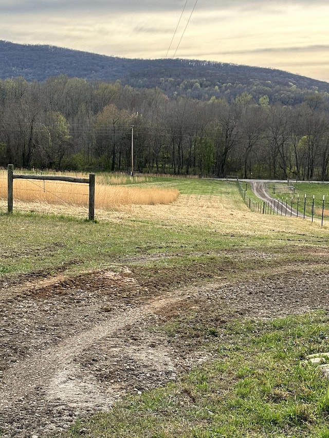 view of yard with a view of trees, a rural view, and fence