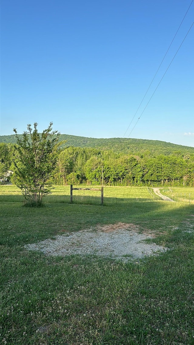 view of yard with a rural view