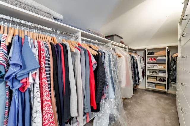 walk in closet featuring carpet flooring