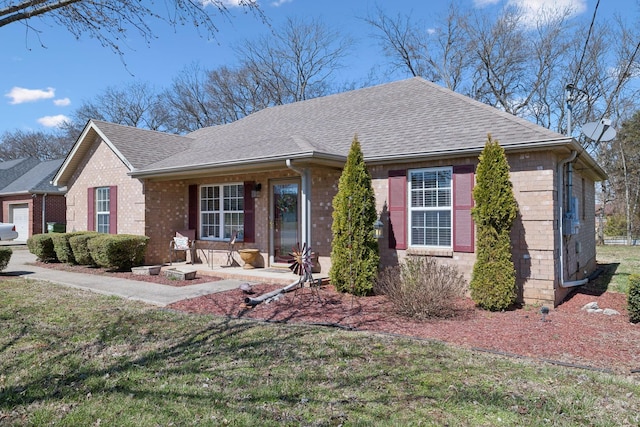 ranch-style home featuring brick siding, a front lawn, and a shingled roof