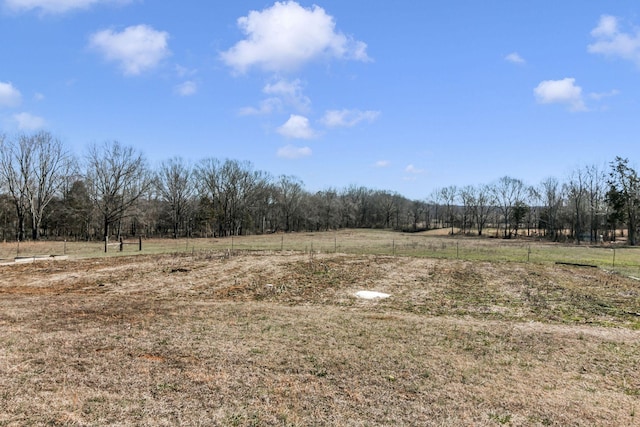 view of yard with a rural view