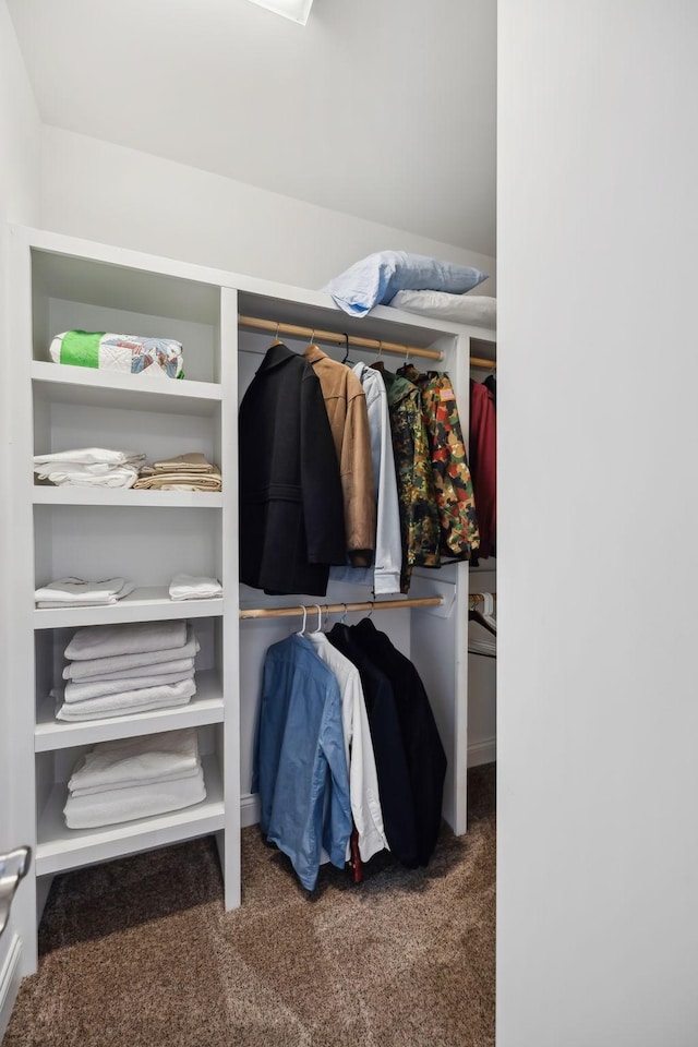 spacious closet featuring carpet floors