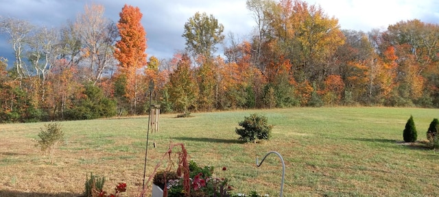 view of yard with a forest view