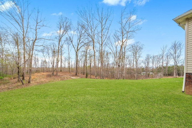 121 Meadow Ln, Dover, TN 37058 - photo 22