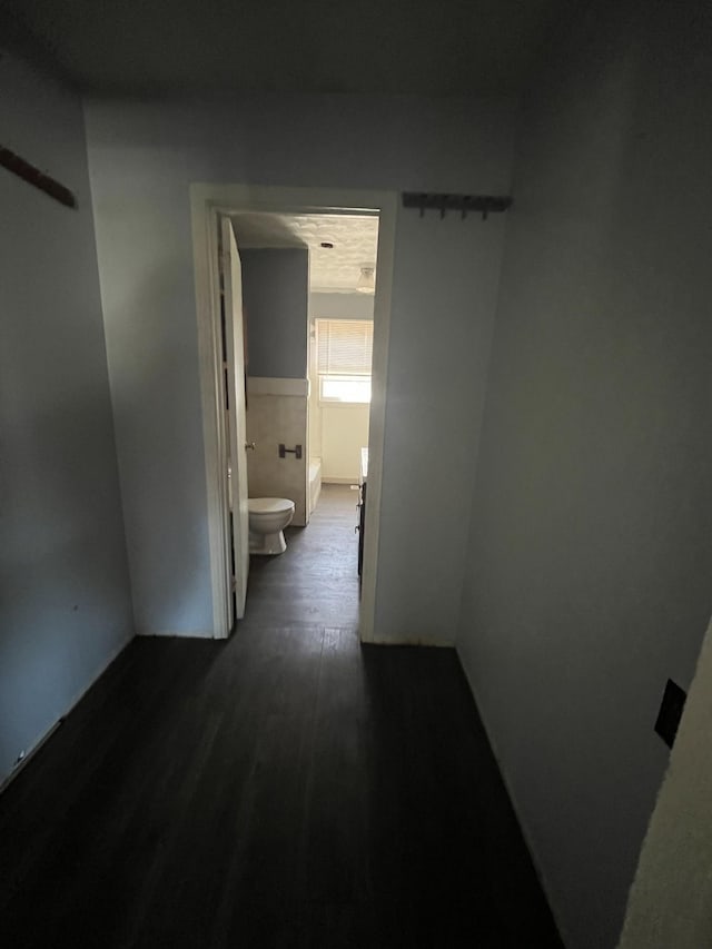 hallway with dark wood-style floors