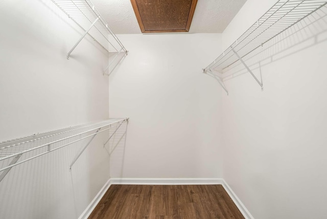 walk in closet featuring dark wood-style floors