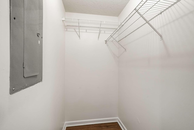 spacious closet featuring electric panel and wood finished floors