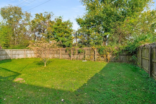 view of yard featuring a fenced backyard