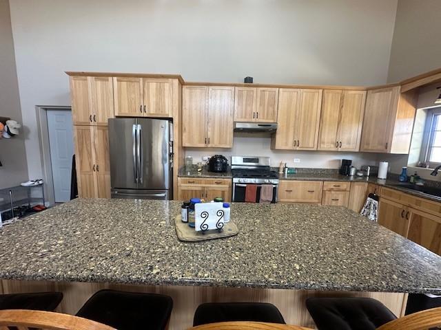 kitchen with a breakfast bar area, light brown cabinets, a sink, stainless steel appliances, and under cabinet range hood