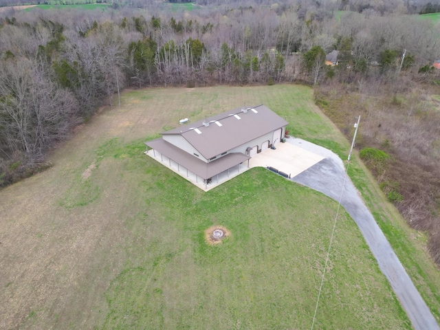 bird's eye view