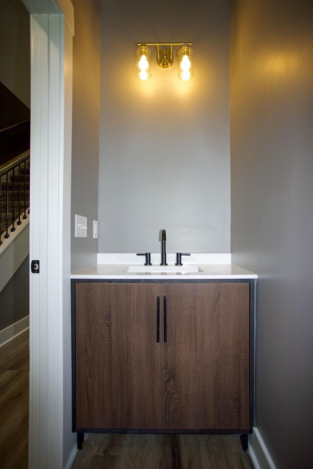 bathroom featuring wood finished floors and a sink