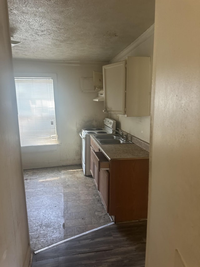 kitchen featuring ventilation hood, wood finished floors, white electric stove, a textured ceiling, and a sink