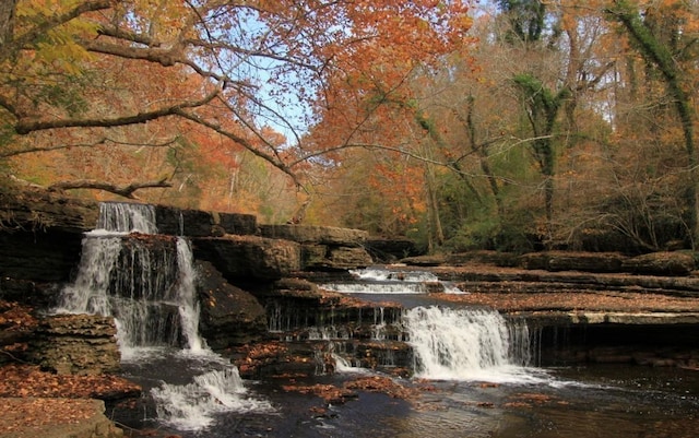 water view with a forest view