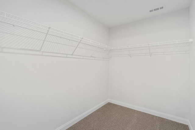 walk in closet featuring visible vents and carpet floors