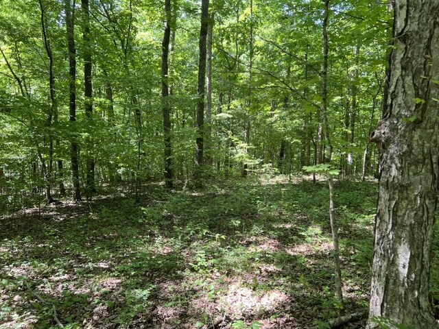 1984 Taylor Ln, Centerville, TN 37033