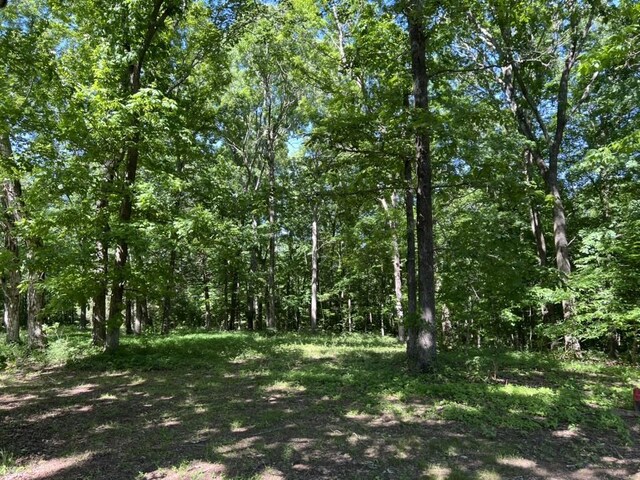 1984 Taylor Ln, Centerville, TN 37033