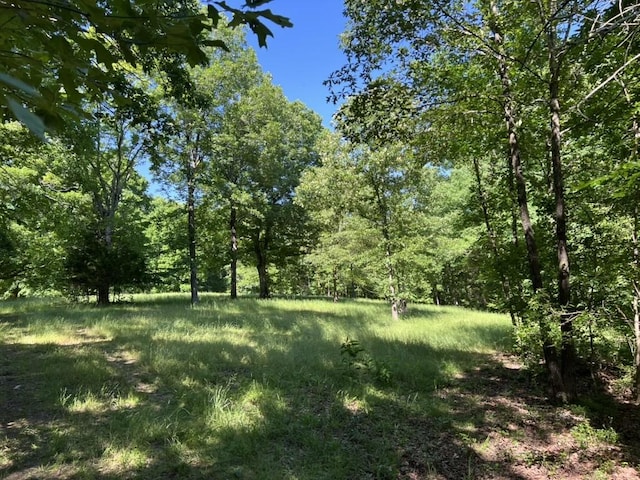 1984 Taylor Ln, Centerville, TN 37033