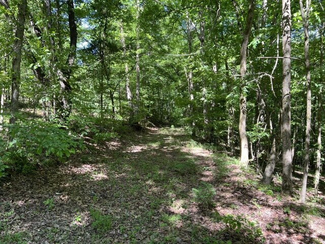 1984 Taylor Ln, Centerville, TN 37033
