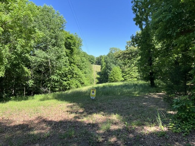 1984 Taylor Ln, Centerville, TN 37033