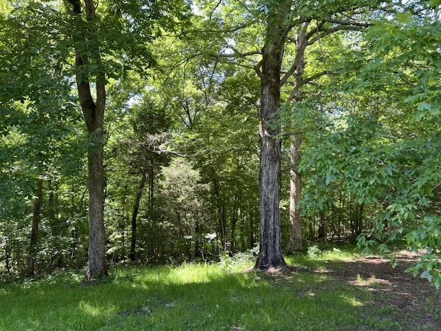 1984 Taylor Ln, Centerville, TN 37033