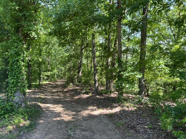 1984 Taylor Ln, Centerville, TN 37033