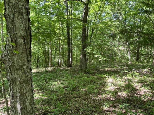 1984 Taylor Ln, Centerville, TN 37033