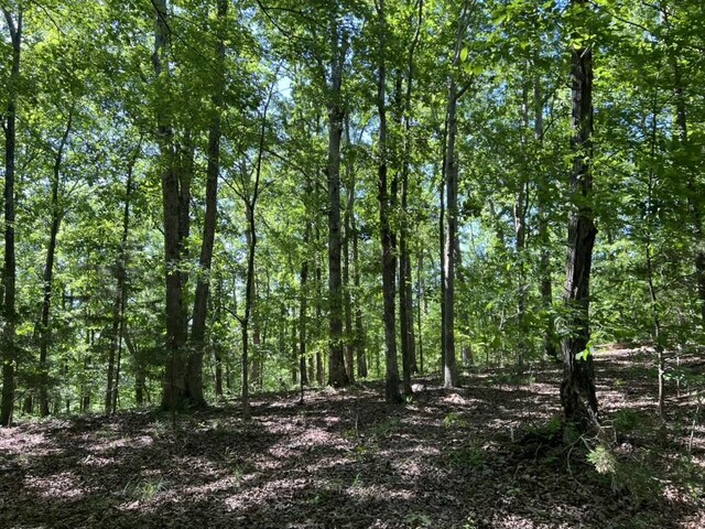1984 Taylor Ln, Centerville, TN 37033