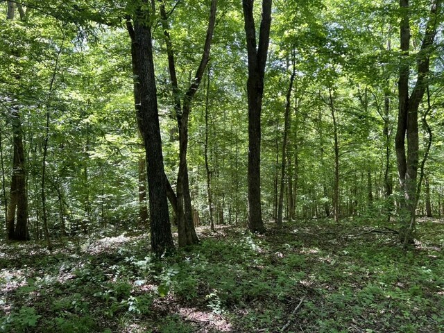 1984 Taylor Ln, Centerville, TN 37033