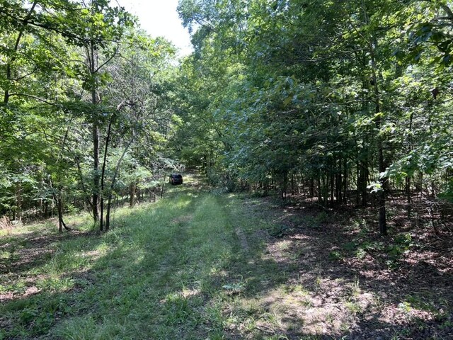 1984 Taylor Ln, Centerville, TN 37033