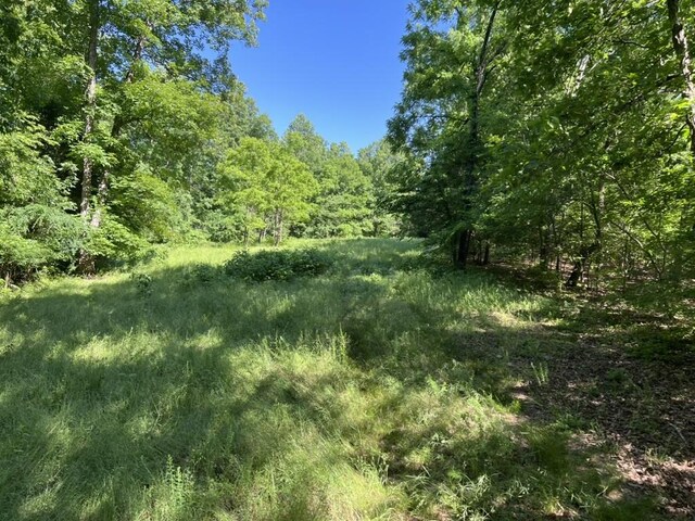 1984 Taylor Ln, Centerville, TN 37033