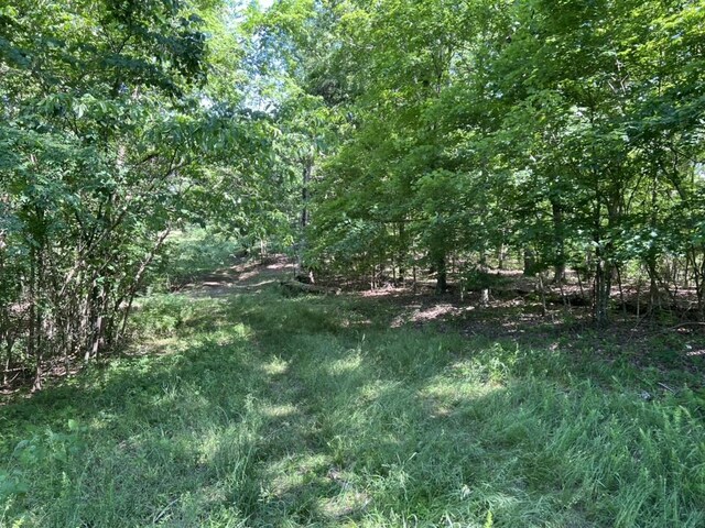 1984 Taylor Ln, Centerville, TN 37033