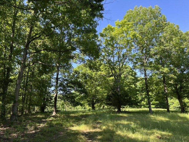 1984 Taylor Ln, Centerville, TN 37033