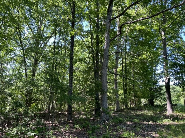 1984 Taylor Ln, Centerville, TN 37033