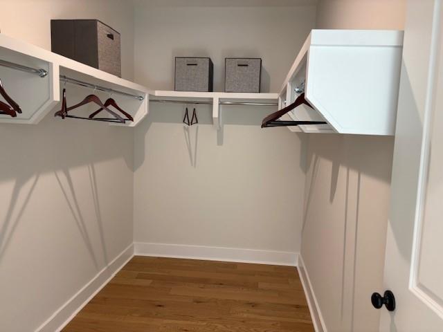 spacious closet featuring wood finished floors