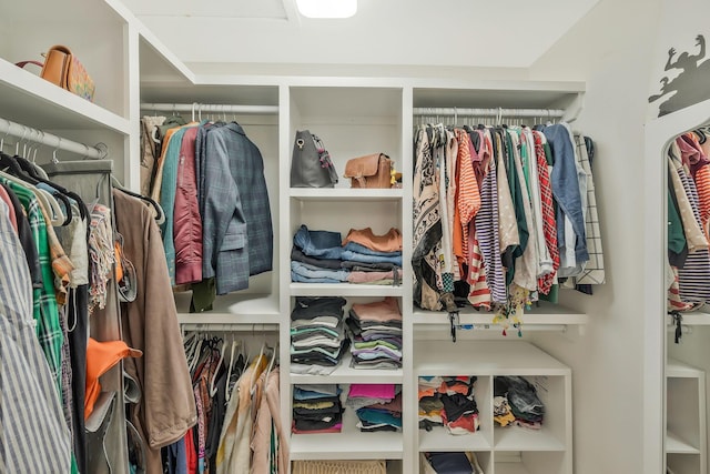 view of spacious closet