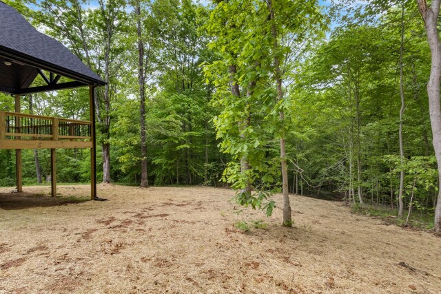 4410 Shiloh Canaan Rd, Palmyra, TN 37142 - view of yard