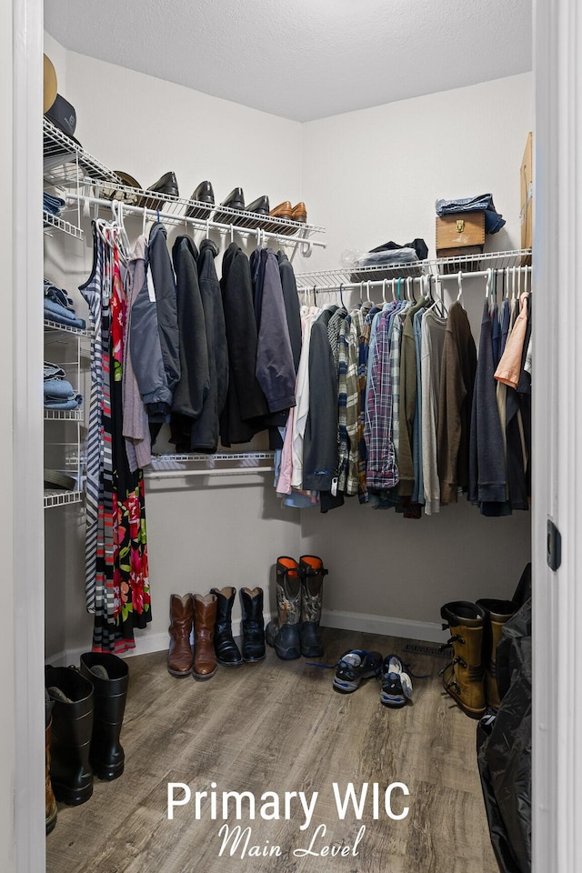 walk in closet featuring wood finished floors