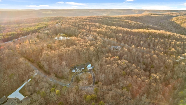 bird's eye view with a wooded view