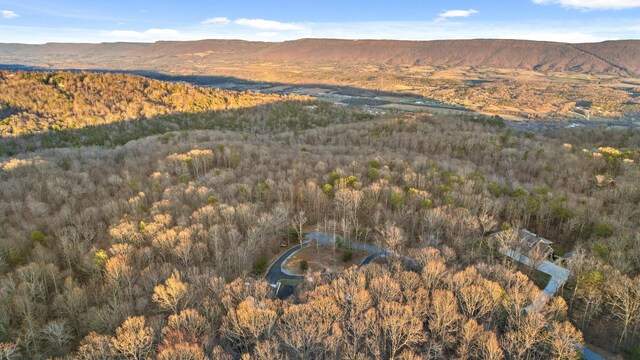 aerial view with a mountain view and a view of trees