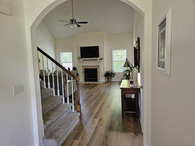 staircase with a ceiling fan, a fireplace with flush hearth, wood finished floors, and a healthy amount of sunlight